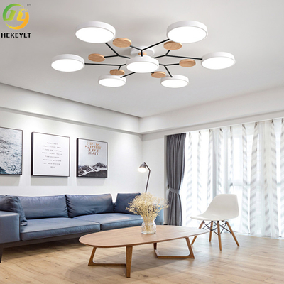 家/ホテルの熱い販売北欧様式のアクリルの天井灯のために使用される